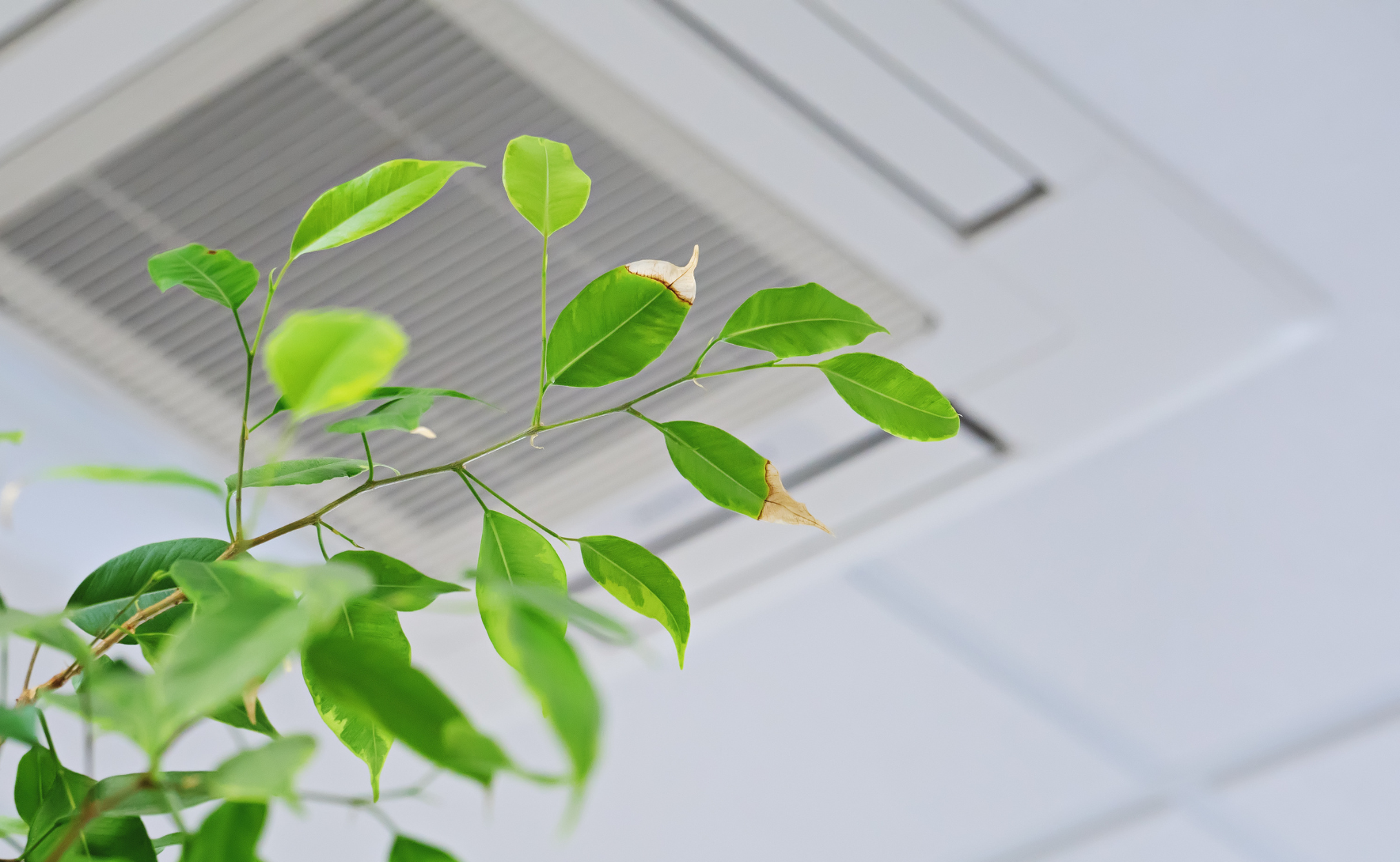 office air quality ventilation