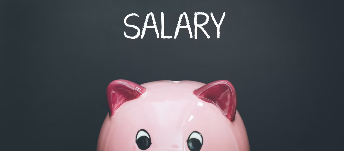salary money payroll earnings