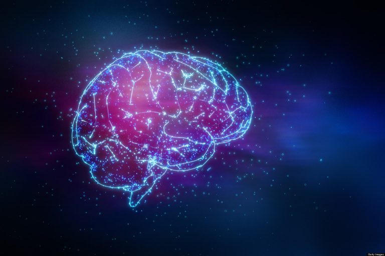 neurodiversity neurodiverse brain connections