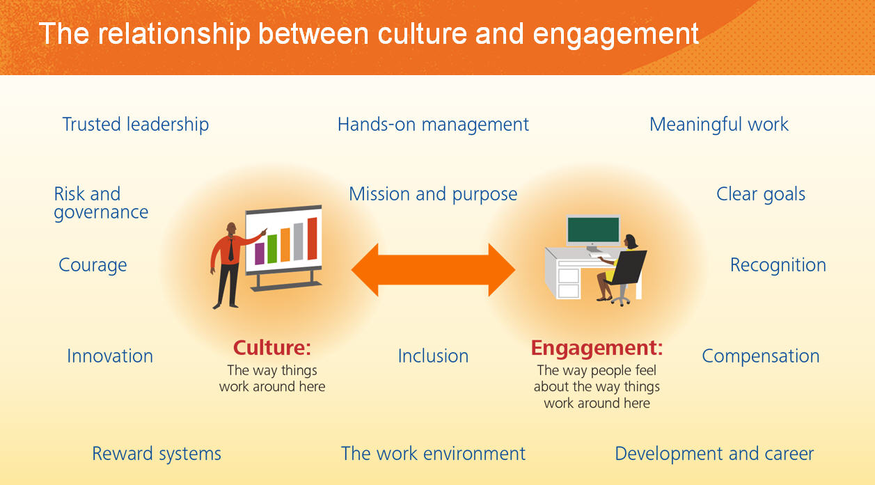 figure 7 the relationship between culture and management